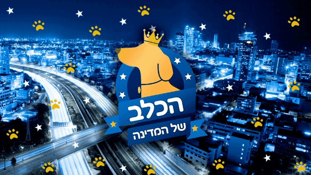 הכל של המדינה